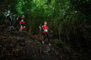 BIB: 
                            <button type="button" onclick="openModal(25101368)" class="btn btn-primary btn-sm float-right btn-popup" data-toggle="modal" data-target=".modal-high-quality">
                        <i class="fas fa-shopping-cart"></i> Add to Cart
                    </button>
                                            <button type="button" onclick="isThisMe(25101368, true)" class="btn btn-success btn-sm float-right btn-popup btn-isme hidden" data-toggle="tooltip" data-placement="bottom" title="นี่คือรูปของคุณใช่ไหม คลิกที่นี่เพื่อเอาเข้าอัลบั้ม">
                        <i class="fas fa-plus"></i> Add to album
                    </button>
                    <button type="button" onclick="isThisMe(25101368, false)" class="btn btn-warning btn-sm float-right btn-popup btn-isnotme hidden">
                        <i class="fas fa-ban"></i> Remove from album
                    </button>